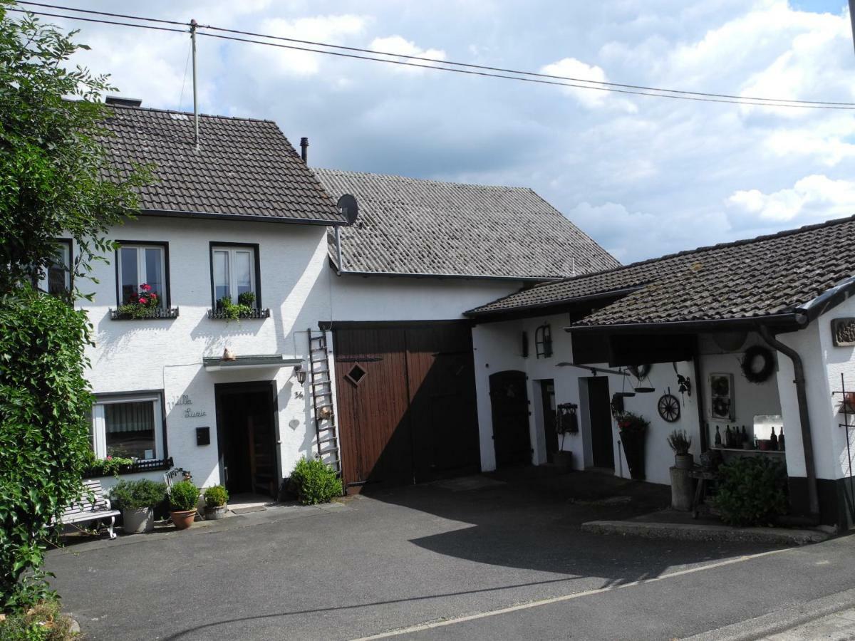 Villa Luzia Meuspath 외부 사진