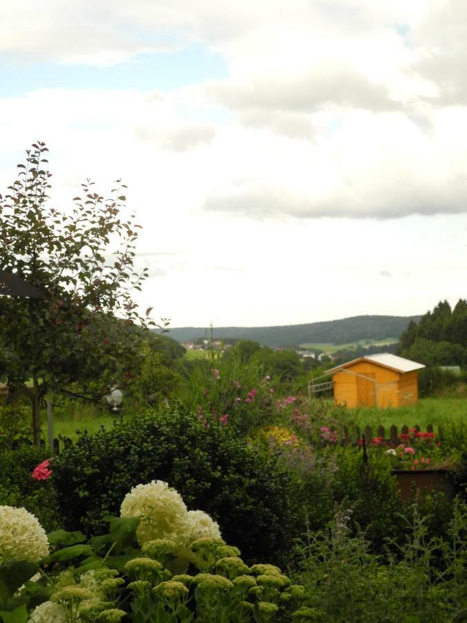 Villa Luzia Meuspath 외부 사진